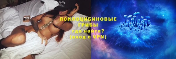 дурь Богородицк