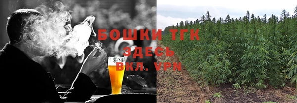 дурь Богородицк