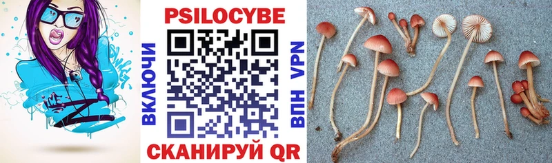 kraken   как найти наркотики  Гулькевичи  Псилоцибиновые грибы GOLDEN TEACHER 